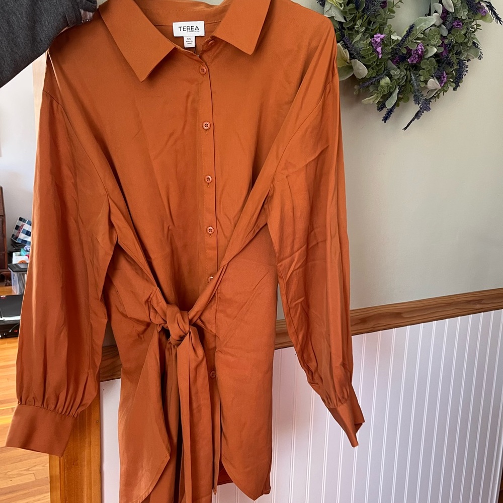 Terea Button-Down Tie-Waist Shirt Dress in Rust Orange